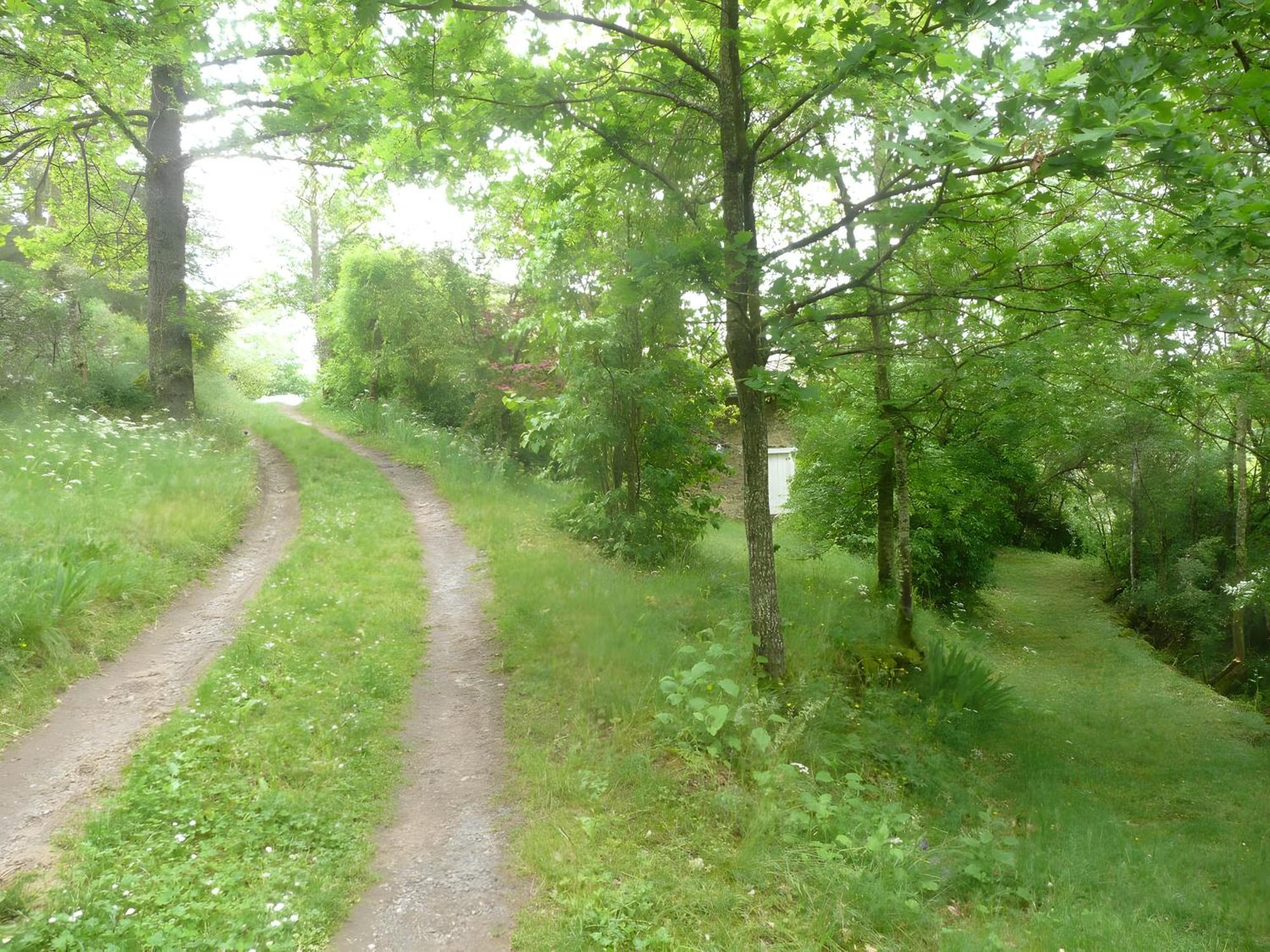 Gite La Grange De L'Effraie Villa Beauzac Bagian luar foto